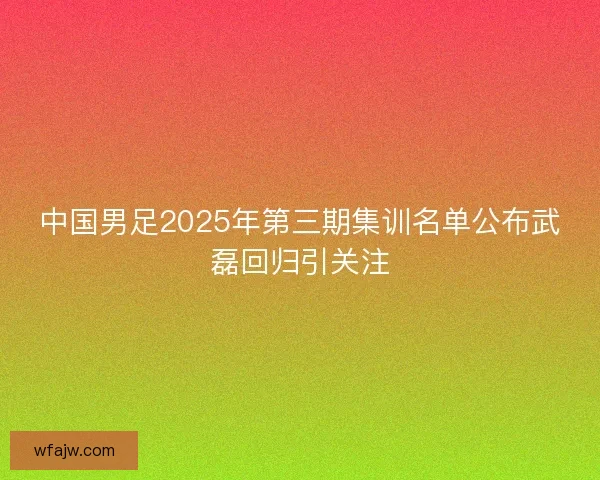 中国男足2025年第三期集训名单公布武磊回归引关注